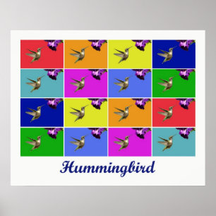 Hummingbird x16 (getitreerd) poster