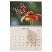 Hummingbirds & Butterflies 2019 Calendrier 2020 (Jan 2027)