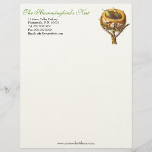 Hummingbird's Nest Letterhead for Humminbird Lover Briefhoofd