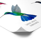 Hummingbirds  poster (Hoek)