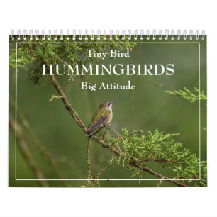 Hummingbirds Tiny Bird Big Attitude Calendrier