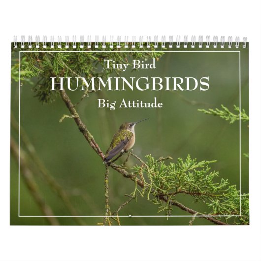 Hummingbirds Tiny Bird Big Attitude Calendrier (Protection)
