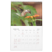 Hummingbirds Tiny Bird Big Attitude Calendrier (Feb 2027)