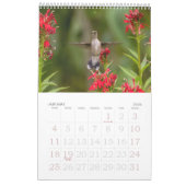 Hummingbirds Tiny Bird Big Attitude Calendrier (Jan 2026)