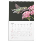 Hummingbirds Tiny Bird Big Attitude Calendrier (Mar 2026)
