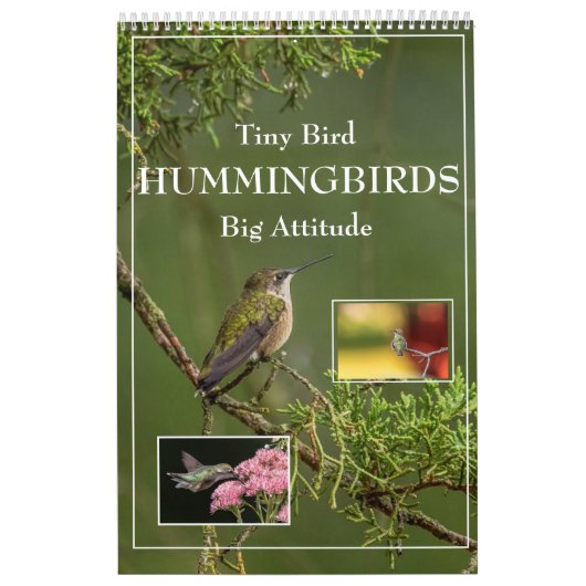 Hummingbirds Tiny Bird Big Attitude Calendrier (Protection)