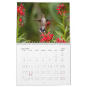 Hummingbirds Tiny Bird Big Attitude Calendrier (Jan 2027)