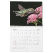 Hummingbirds Tiny Bird Big Attitude Calendrier (Mar 2027)
