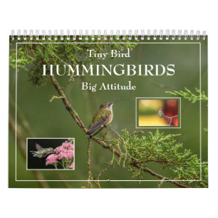 Hummingbirds Tiny Bird Big Attitude Calendrier