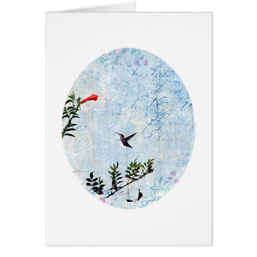 Hummingvogel (Voorkant)