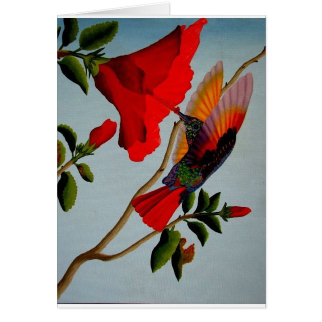 Hummingvogel (Voorkant)