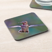 Hummingvogel Bier Onderzetter (Linkerzijde)