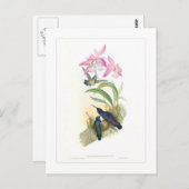 Hummingvogel Briefkaart (Voorkant / Achterkant)