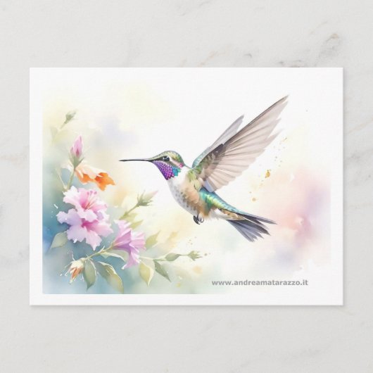 Hummingvogel Briefkaart (Voorkant)