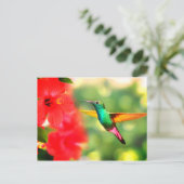 Hummingvogel Briefkaart (Staand voorkant)