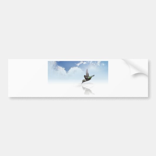 Hummingvogel Bumpersticker (Voorkant)