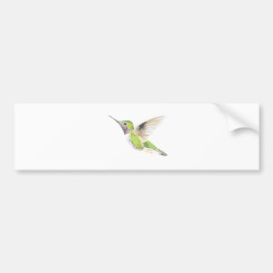 Hummingvogel Bumpersticker
