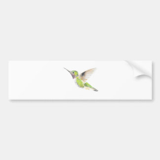 Hummingvogel Bumpersticker