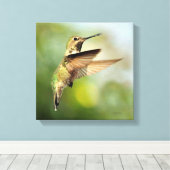 Hummingvogel Canvas Afdruk (Insitu (Houten vloer))