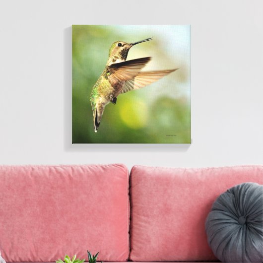 Hummingvogel Canvas Afdruk (Insitu (Woonkamer))