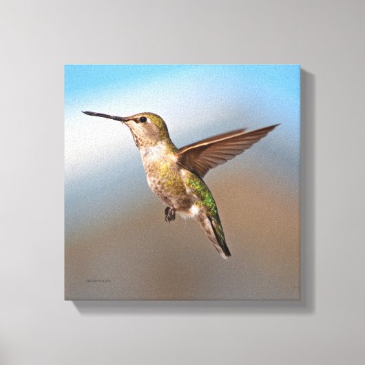 Hummingvogel Canvas Afdruk (Voorkant)