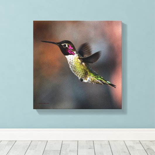 Hummingvogel Canvas Afdruk (Insitu (Houten vloer))