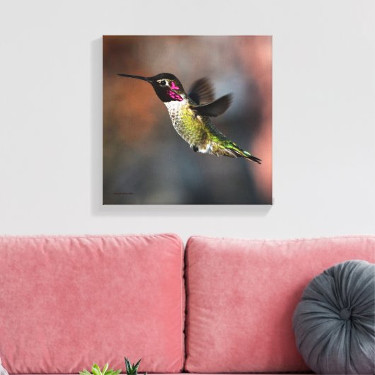 Hummingvogel Canvas Afdruk (Insitu (Woonkamer))