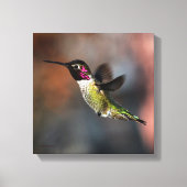 Hummingvogel Canvas Afdruk (Voorkant)