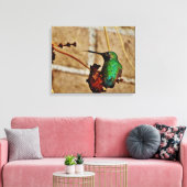Hummingvogel Canvas Afdruk (Insitu (Woonkamer))