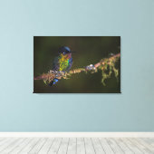Hummingvogel Canvas Afdruk (Insitu (Houten vloer))