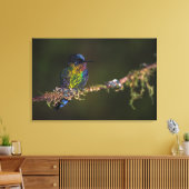 Hummingvogel Canvas Afdruk (Insitu (Woonkamer))