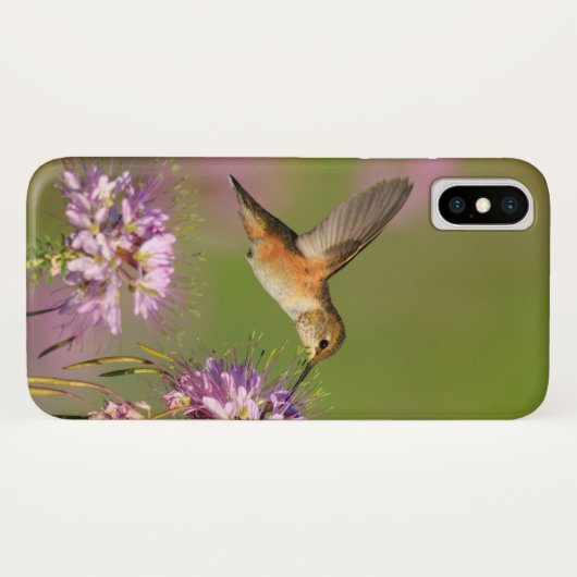Hummingvogel Case-Mate iPhone Case (Achterkant (horizontaal))