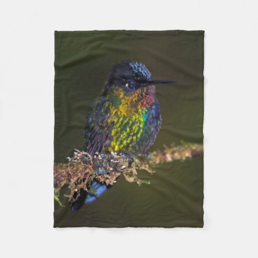 Hummingvogel Fleece Deken (Voorkant)