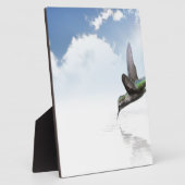 Hummingvogel Fotoplaat (Zijkant)