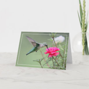 Hummingvogel Kaart