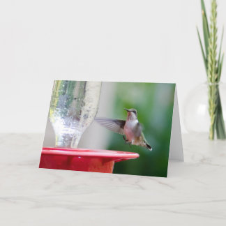Hummingvogel Kaart