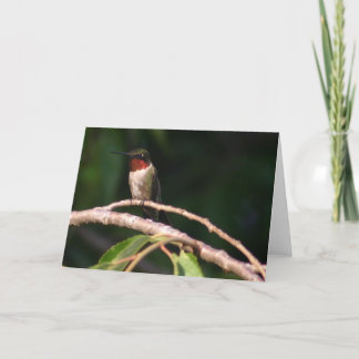 Hummingvogel Kaart