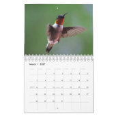 Hummingvogel Kalender (Mar 2027)