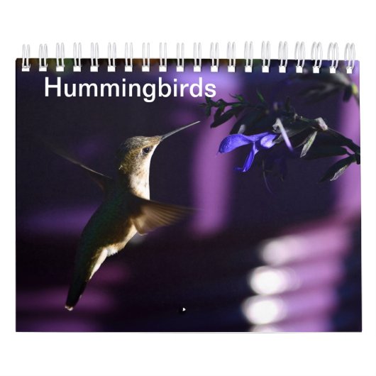 Hummingvogel Kalender (Hoes)