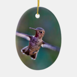 Hummingvogel Keramisch Ornament