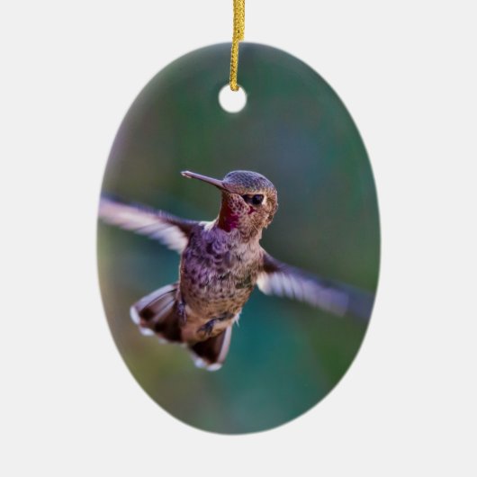 Hummingvogel Keramisch Ornament (Voorkant)