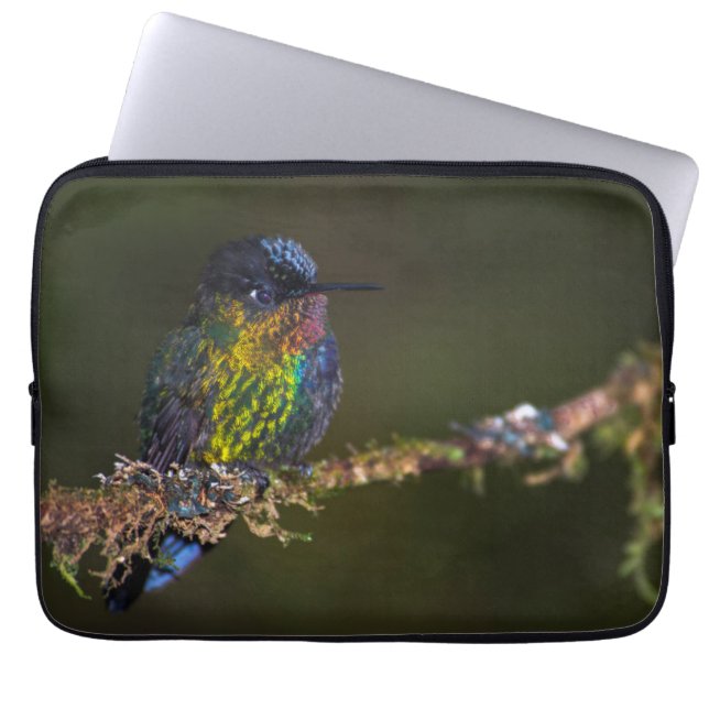 Hummingvogel Laptop Sleeve (Voorkant)