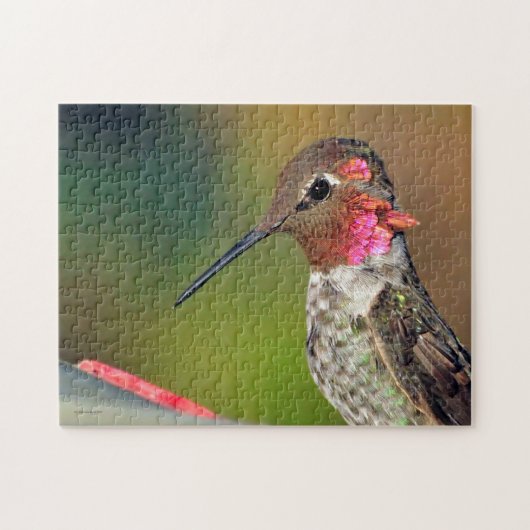 Hummingvogel Legpuzzel (Horizontaal)