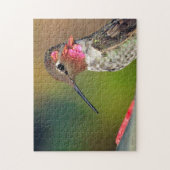 Hummingvogel Legpuzzel (Verticaal)