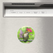 Hummingvogel Magneet (Insitu (Vaatwasser))