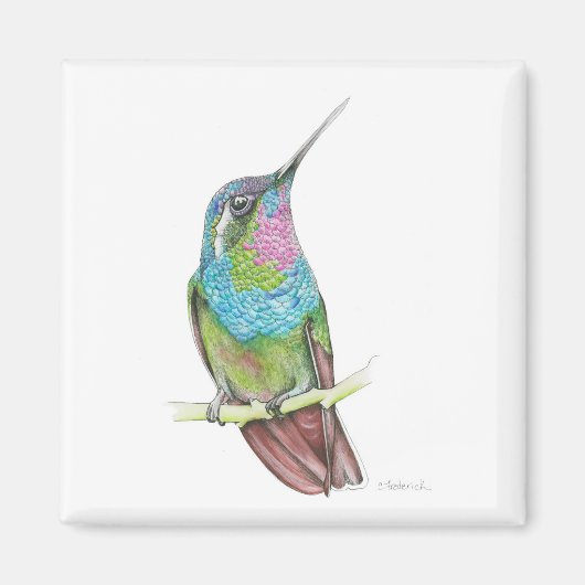 Hummingvogel Magneet (Voorkant)