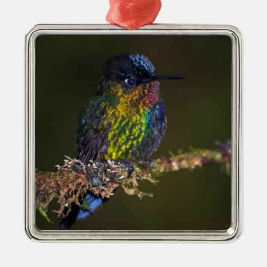 Hummingvogel Metalen Ornament (Voorkant)