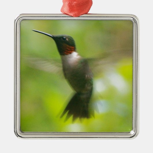 Hummingvogel Metalen Ornament (Voorkant)