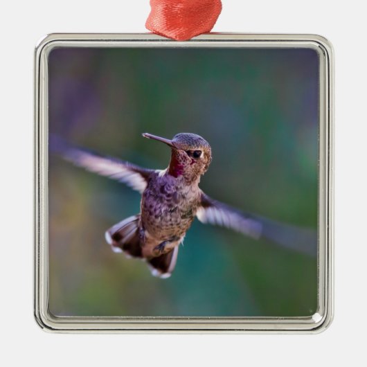 Hummingvogel Metalen Ornament (Voorkant)