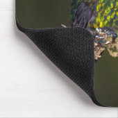 Hummingvogel Muismat (Hoek)